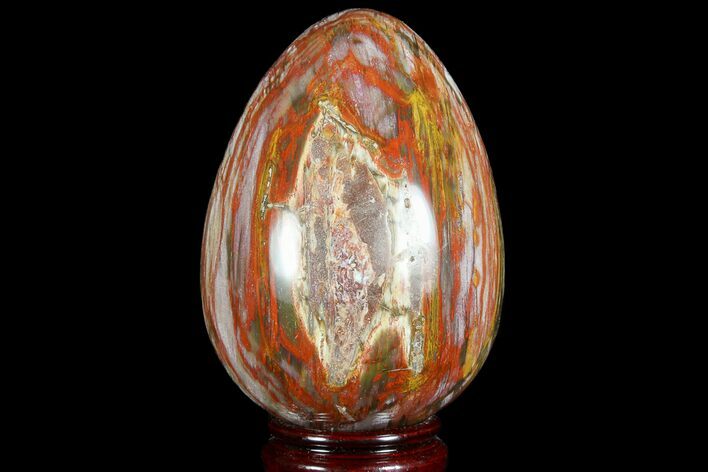 Colorful, Polished Petrified Wood Egg - Triassic #74738